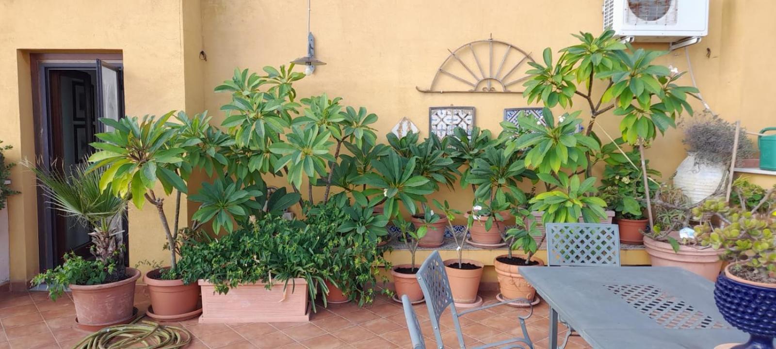 Terrazze Di Montelusa Agrigento Exterior photo